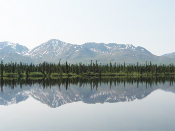 Denali National Park