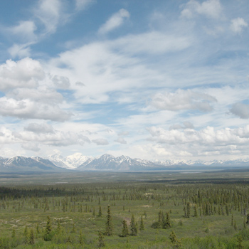 Denali National Park