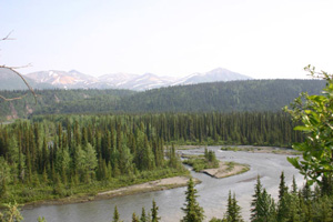 Denali National Park