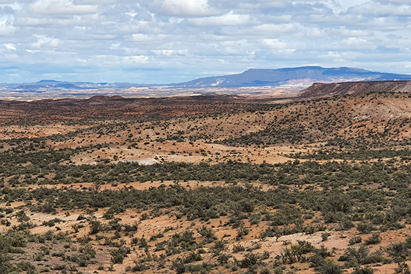 Patagonian Steppe, Chebut