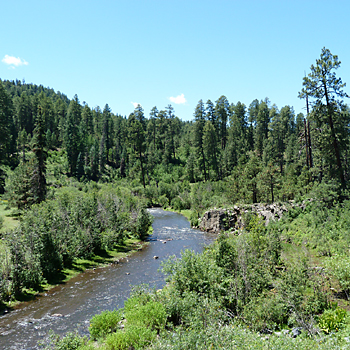Apache National Forest