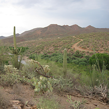 Arivaipa Canyon