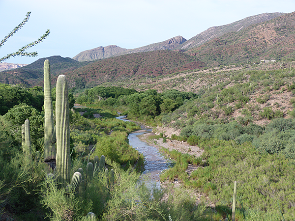 Arivaipa Canyon