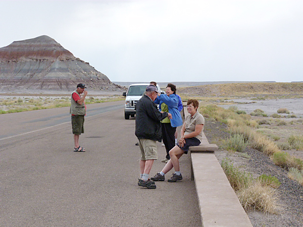 Birdfinders at the Petrified Forest