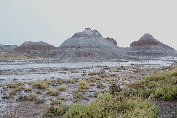 Painted Desert