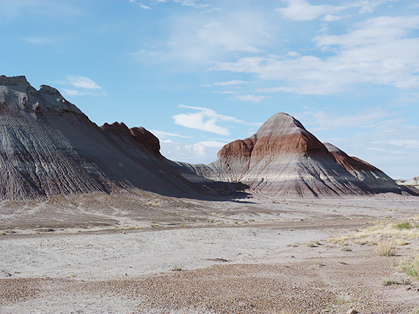 Petrified Forest