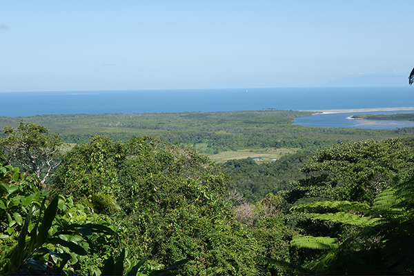 Daintree River