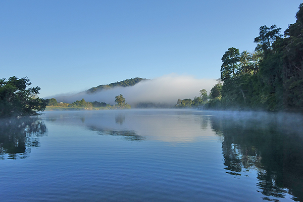 Daintree River