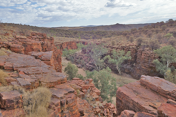 Trephina Gorge