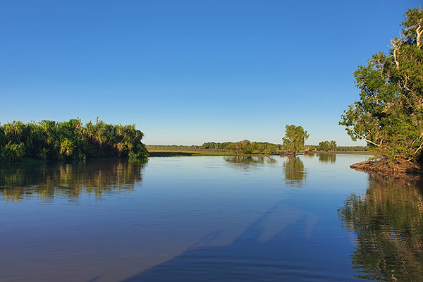 Yellow Waters
