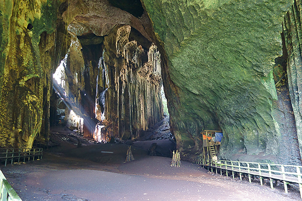 Gomantong Caves