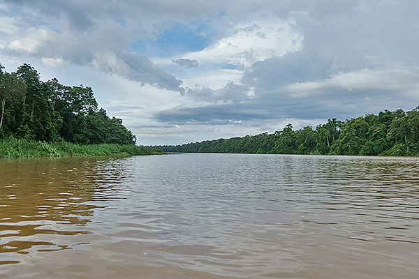 Kinabatanang River