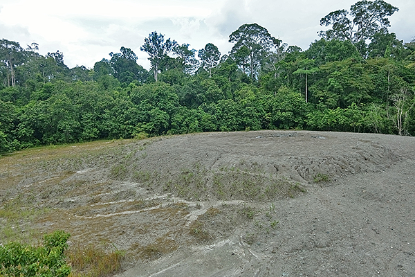 Mud Volcano, Tabin