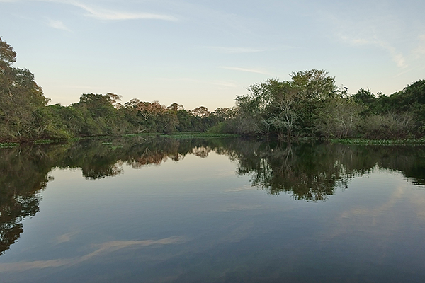 Pantanal