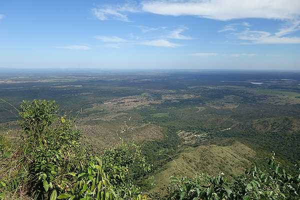 Pantanal