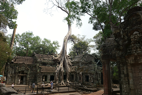 Ta Prohm