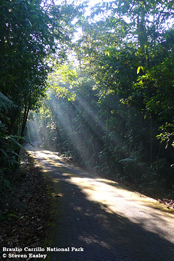 Braulio Carrillo National Park