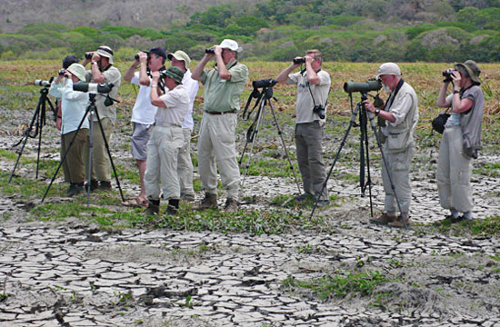 Birdfinders at Paolo Verde
