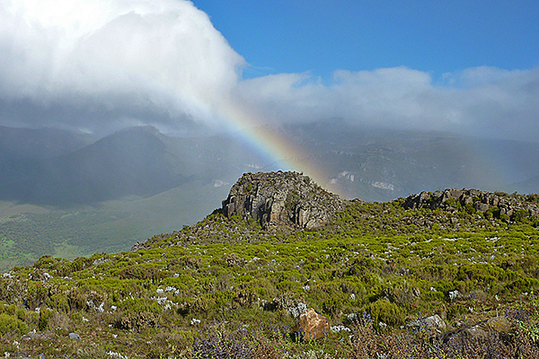 Bale Mountains