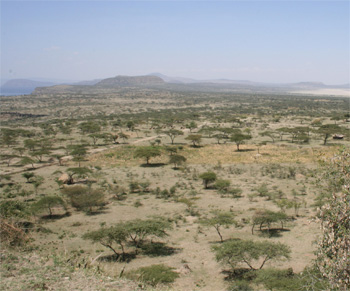 Langano