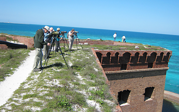 Birdfinders on the Dry Tortugas