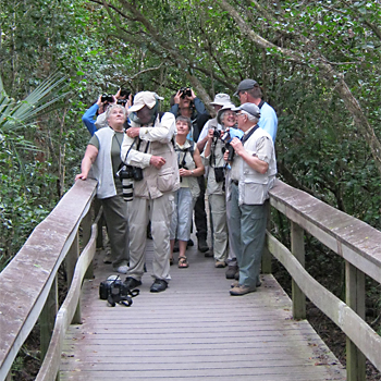 Birdfinders' group looking for Barred Owl