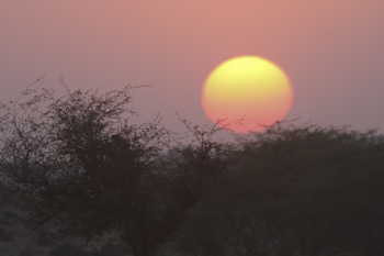 Sunset, Ranthambhore