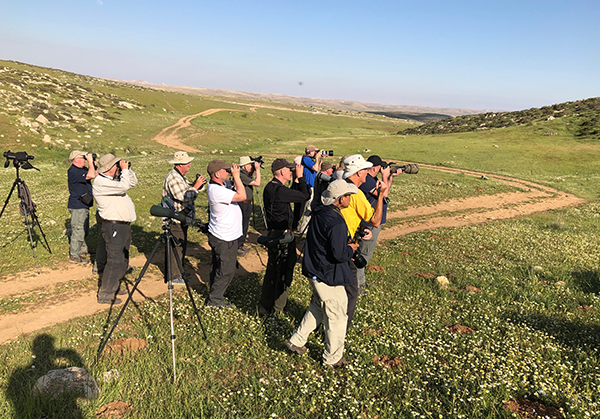 Birdfinders' group watching Cretzschmar's Bunting
