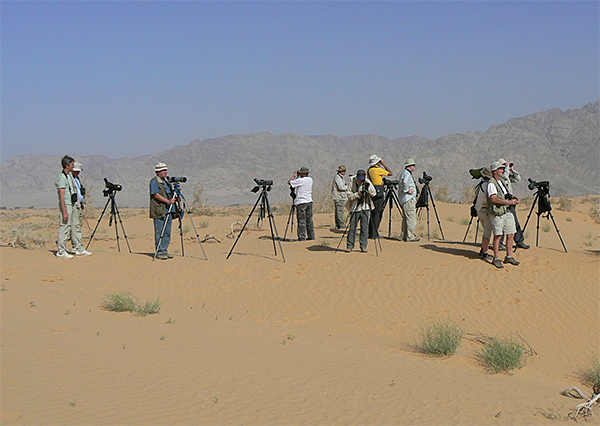 Birdfinders Group