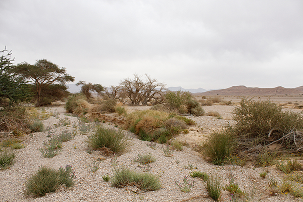 High Plains