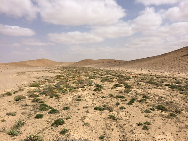 Ovda Valley