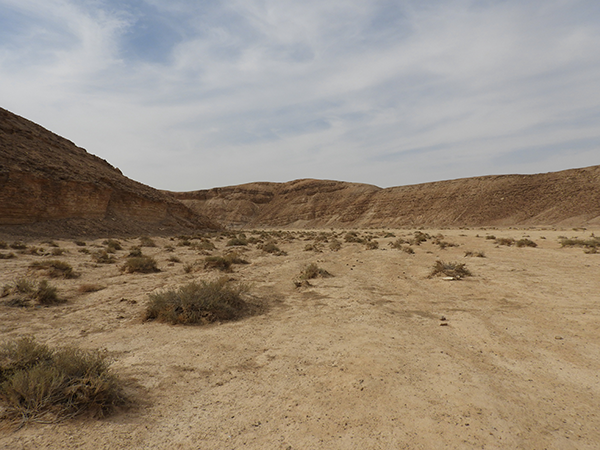 Ovda Valley