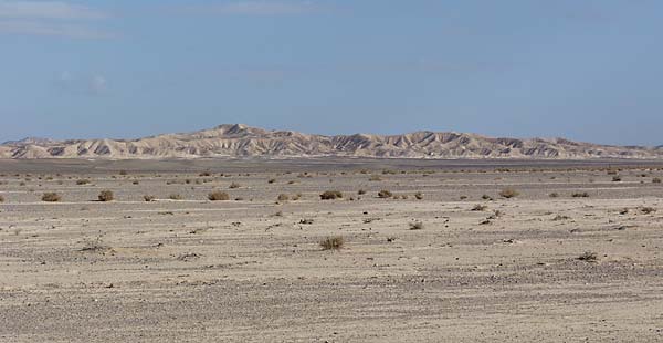 Southern Negev