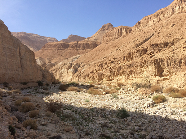 Wadi Mishmar