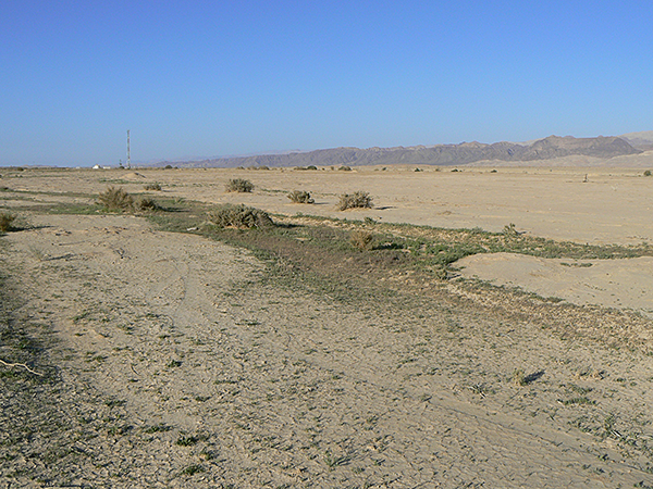 Yahel Plains