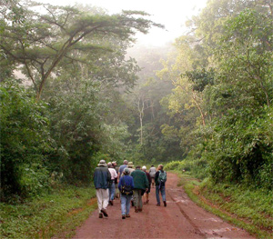 The group in Kakamega Forest