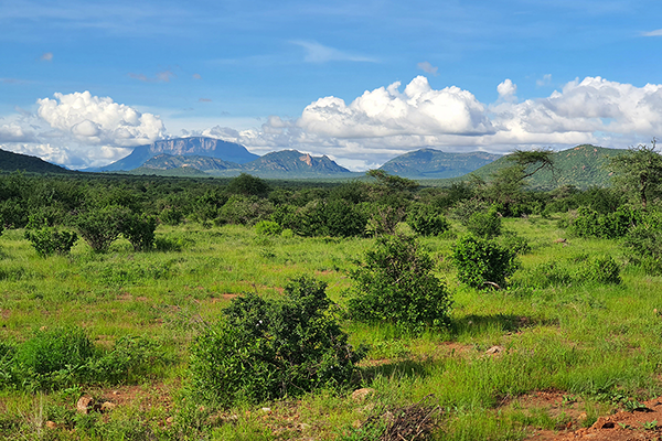 Samburu