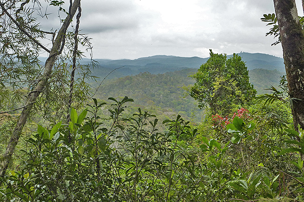 Ranomafana