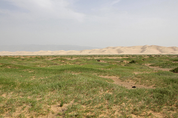 Gobi Desert