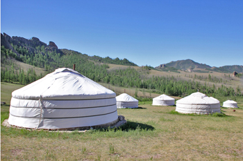 Terelj Ger Camp