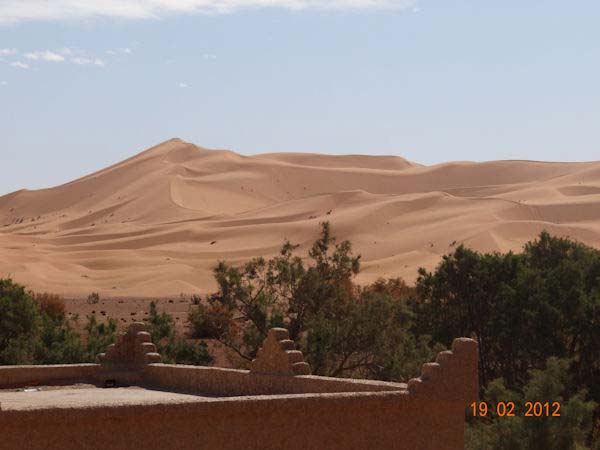 Sahara Desert