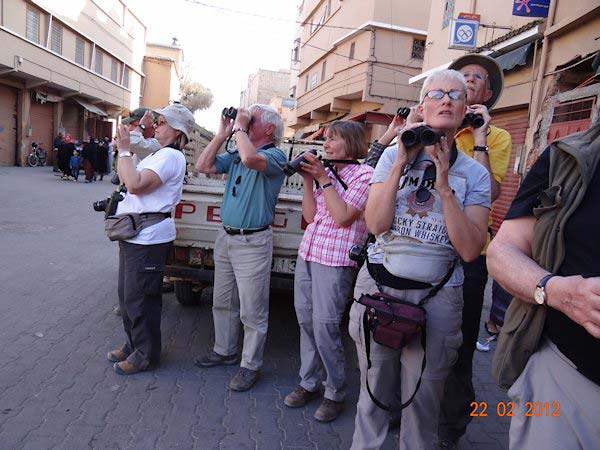 Birdfinders in Morocco