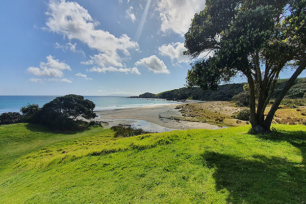 Tawharanui Regional Park