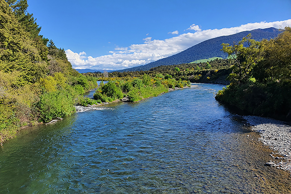Tongariro River