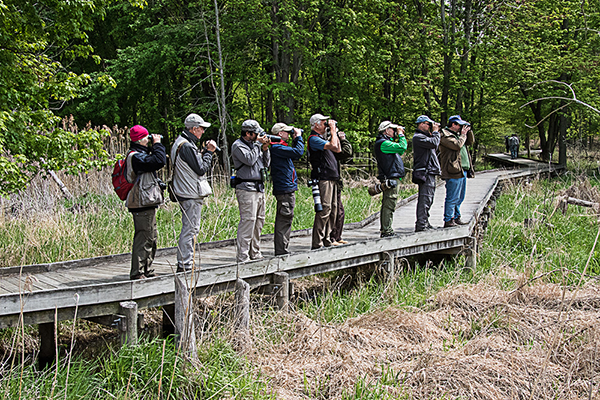 Birdfinders' group at Maumee