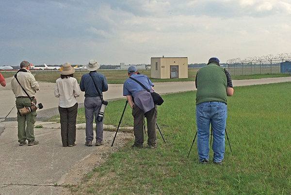 Birdfinders' group watching Snowy Owl