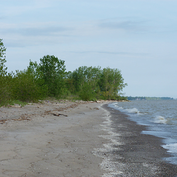 East Beach at Crane Creek