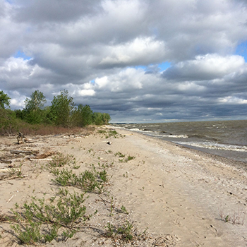 East Beach, Ottawa NWR
