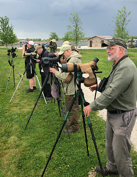 Birding at Howard Marsh