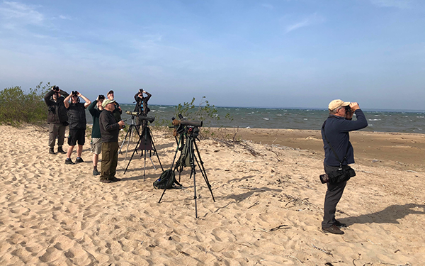 Migration watching at Tawas Point